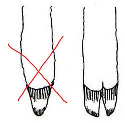 Estudio Biblia: DEVARIM 14: Dieta y Diezmo