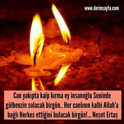 Can Yakipta Kalp Kirma Ey Insanoglu Seninde Gulbenzin Solacak Birgun Her Canlinin Kalbi Allah A Bagli Neset Ertas Guzel Sozler Dini Anlamli Sozler Ayrilik Ask Sevgi Sozleri Mesajlari