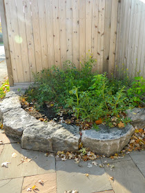 Toronto garden cleanup Pape Village before by Paul Jung Gardening Services