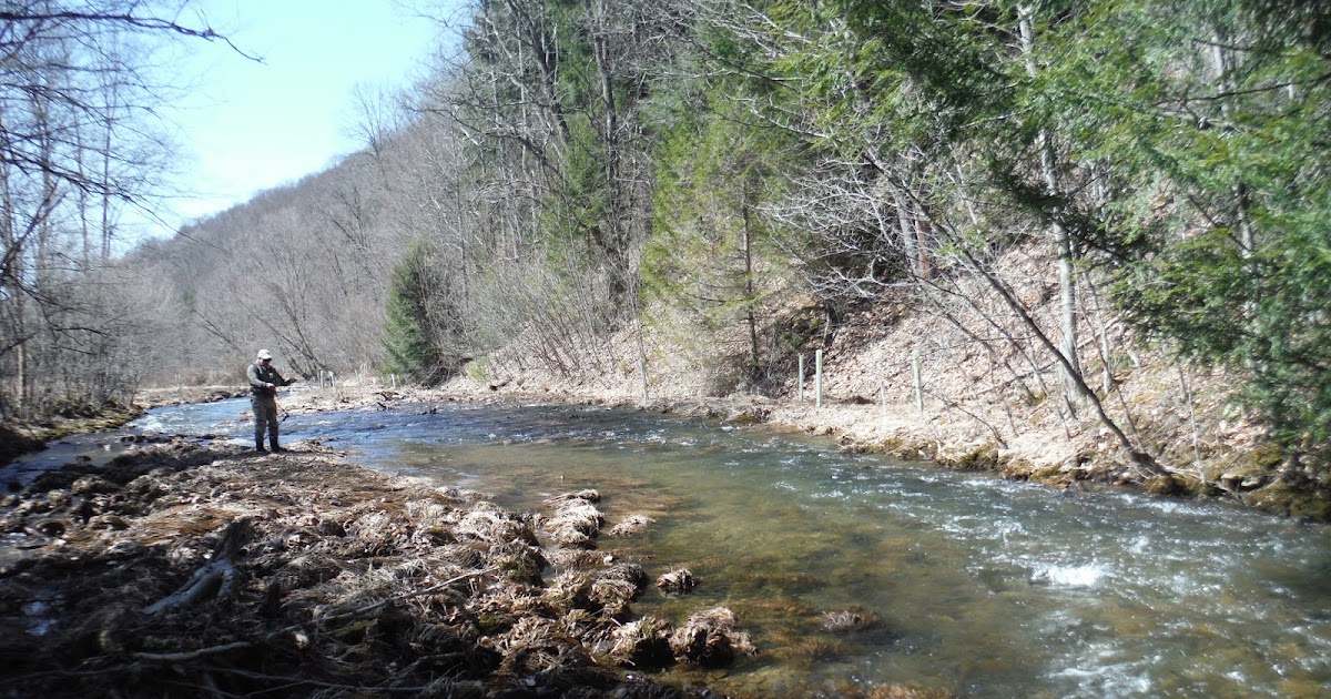 Mikey D Fishing North Central PA Fishing Report, 2227 March The Week