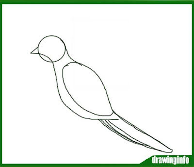 bird-drawing-easy