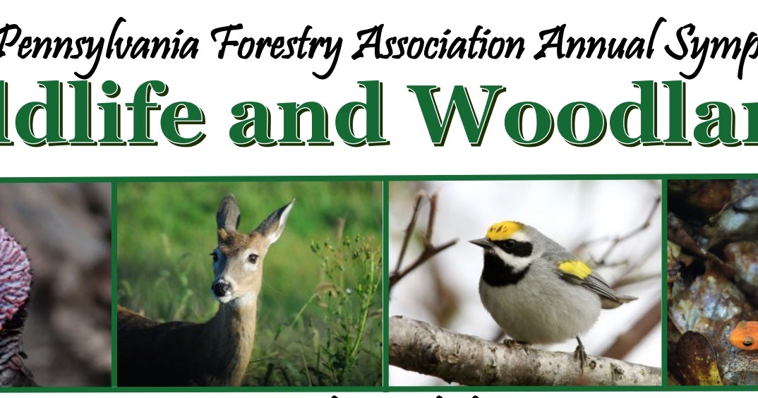 PA Environment Digest Blog: PA Forestry Association Annual Wildlife