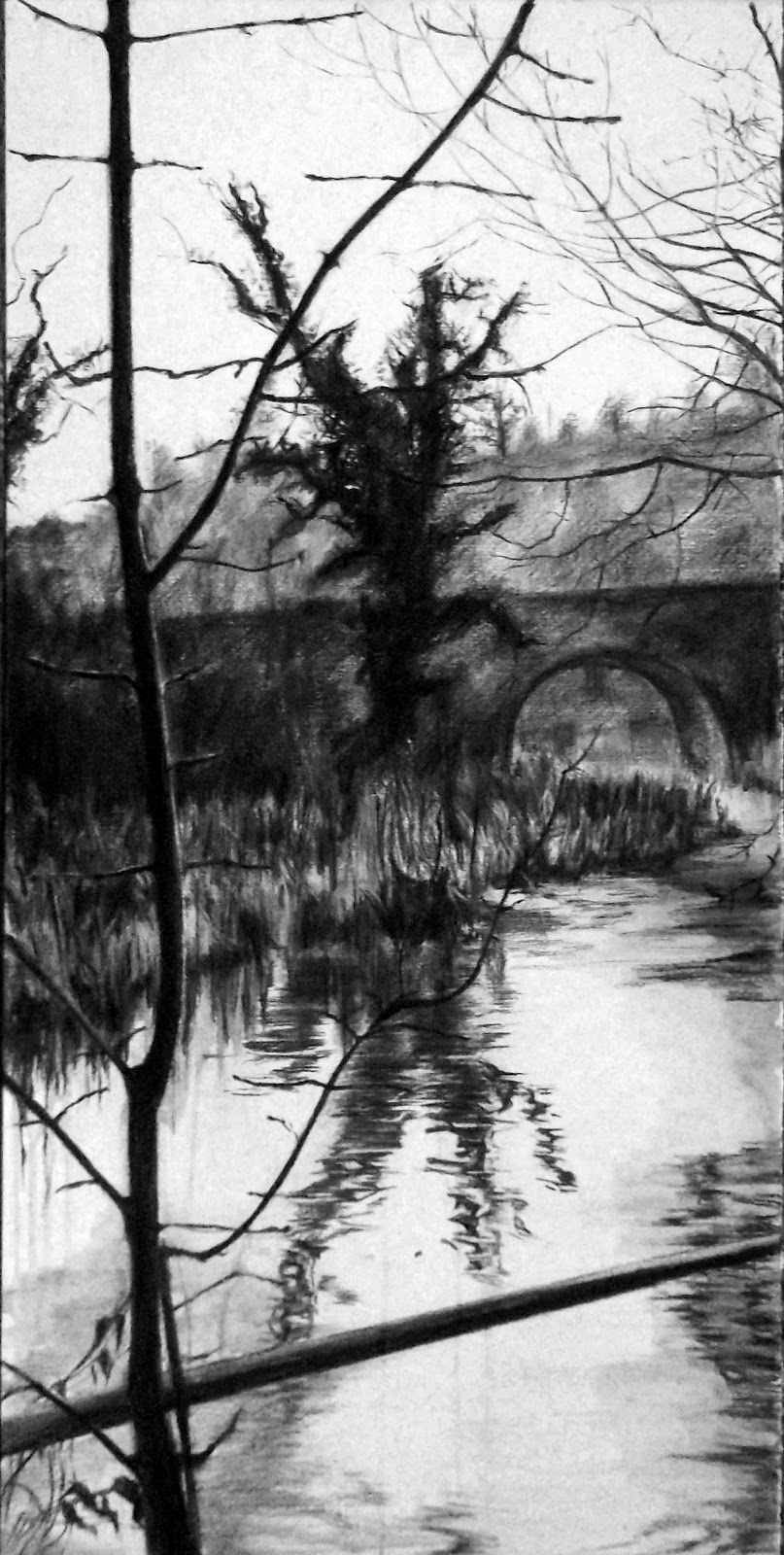 Wendy Rhodes Artist Charcoal drawing Brook reflection