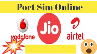 How to port sim online
