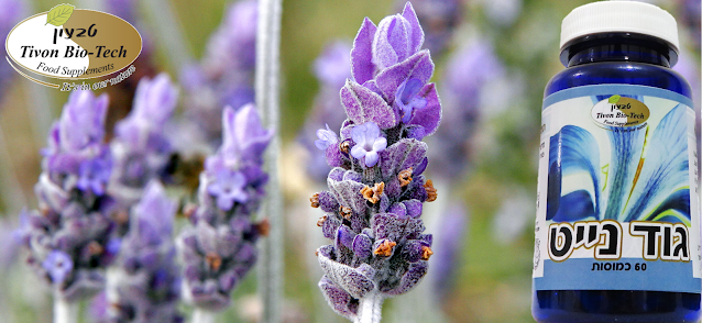 אתר טבעון ויטמין ביוטק