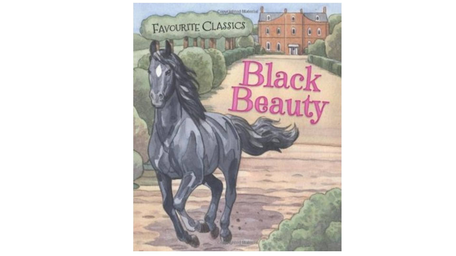 Black Beauty Book Report