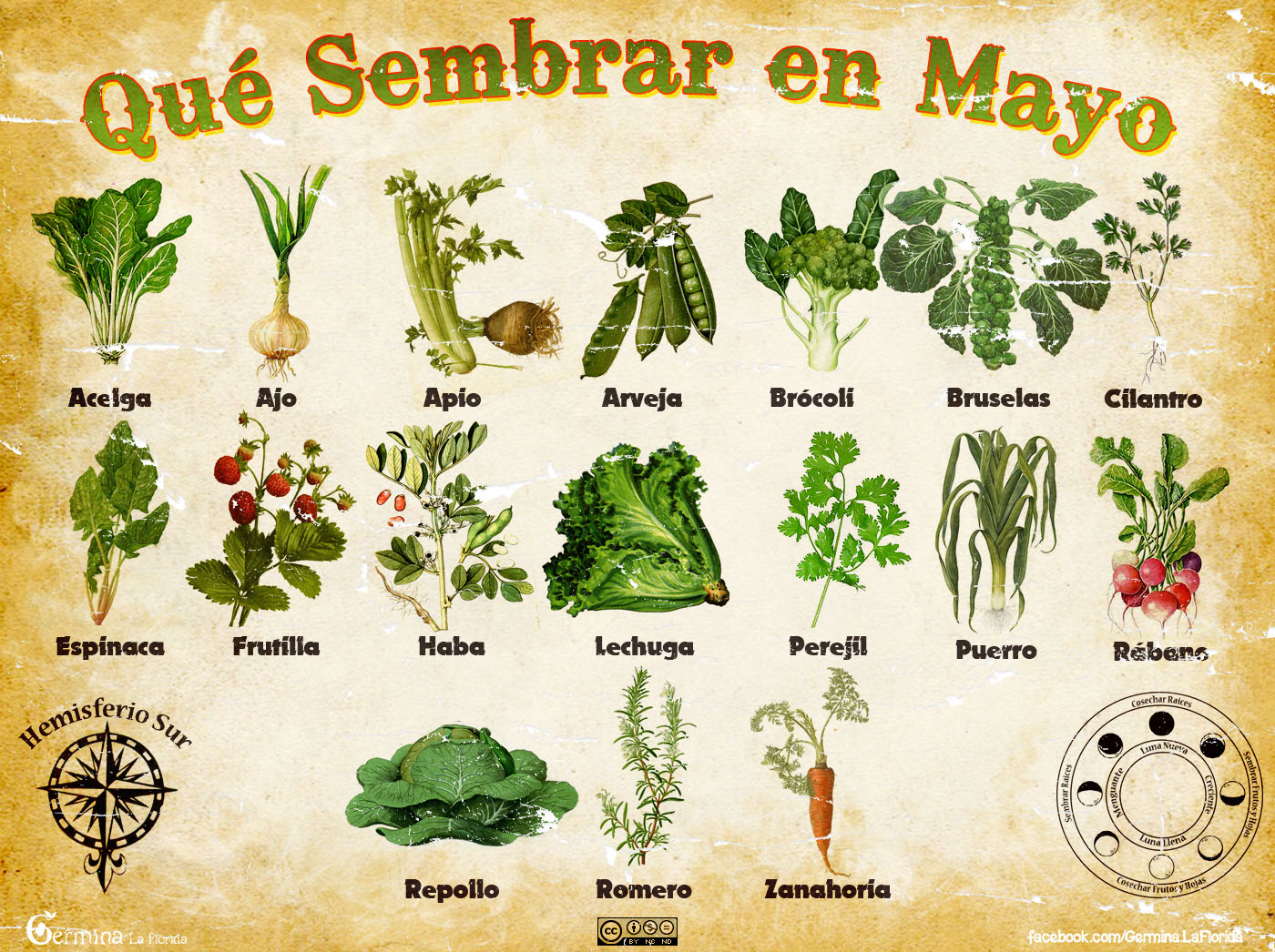 Calendario de Siembra de Mayo Calendario de Siembra de Mayo