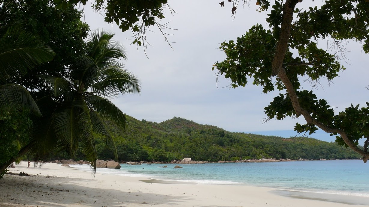 Anse Lazio