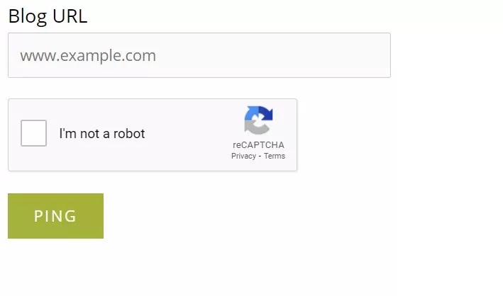 ping website