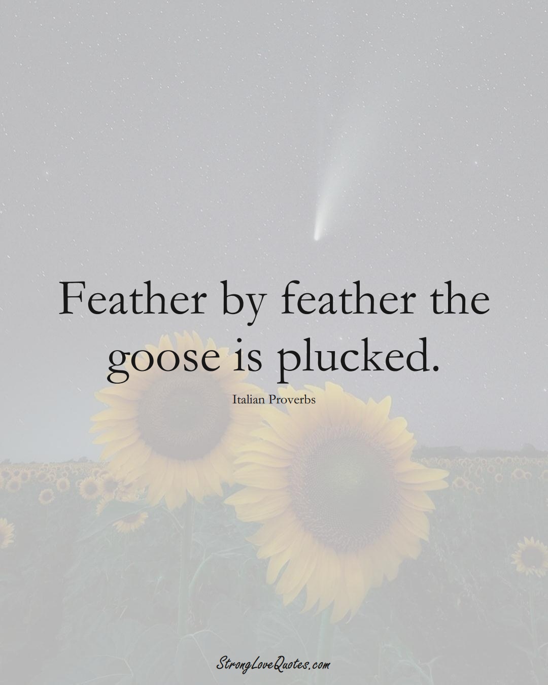 Feather by feather the goose is plucked. (Italian Sayings);  #EuropeanSayings