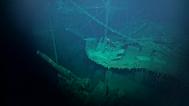 The Wreck of the Maya