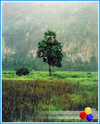 mknace unlimited™ | Pokok stea berlatarbelakang gunung baling in early 90