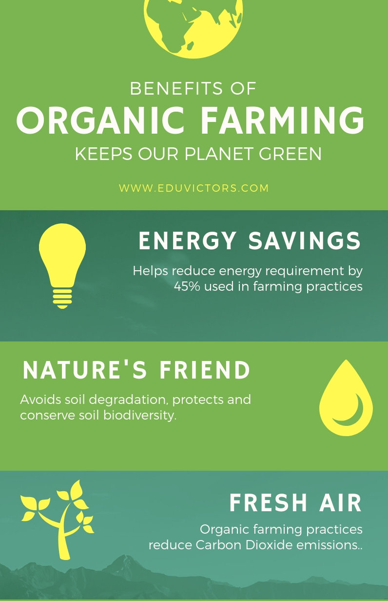 Short essay on food picture