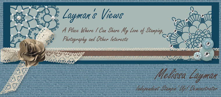 Layman's Views