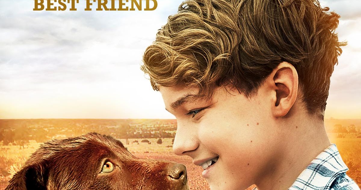 Madhouse Family Reviews DVD review Red Dog The Early Years