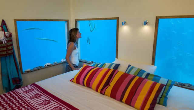 El primer hotel submarino del mundo.La habitación de hotel bajo el mar. Manta Resort.