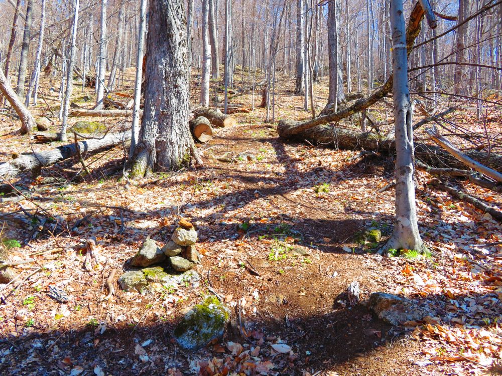 Outdoor Diversion Hall's Ledge Trail and Hutmen's Trail Loop Hike