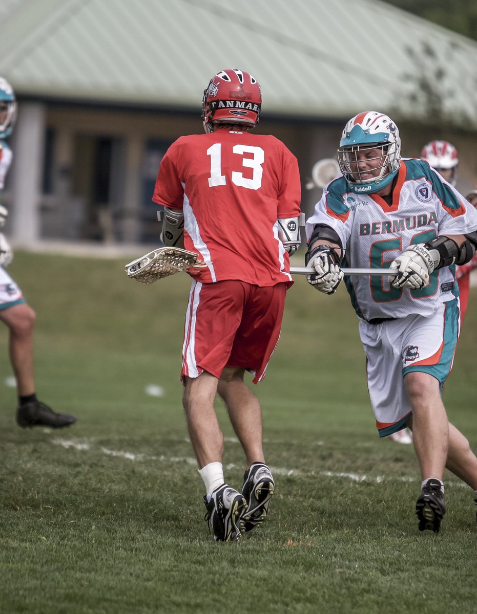 Renewed Brine Lacrosse Lax Rebound Wall Replacement Mat 3 X 4 Feet