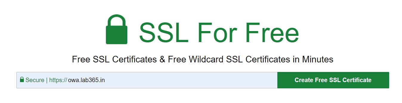 Nginx ssl certificate. Wildcard SSL/TLS.