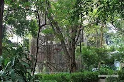 kandang siamang kebun binatang ragunan jakarta