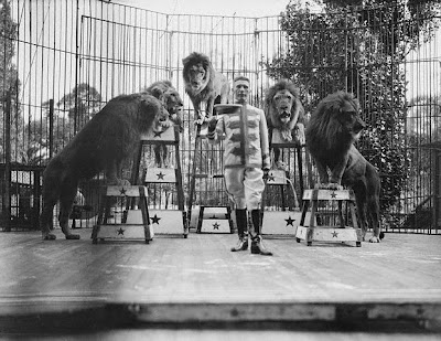 Louis Roth Photographer ANIMAL TRAINERS! - Page 23 - Animal vs Animal