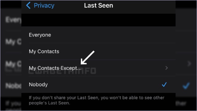 WhatsApp Last Seen