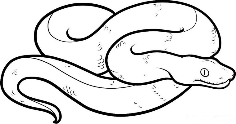 Desenhos de cobras para colorir - Desenhos Para Desenhar