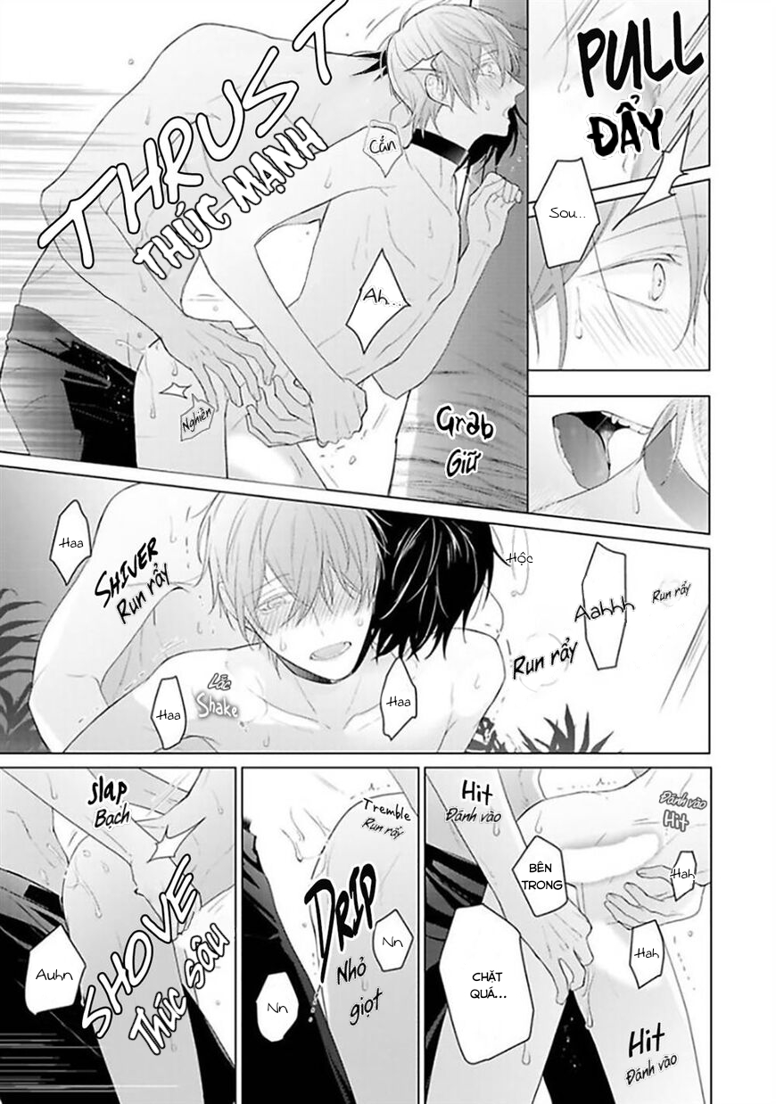 Đọc truyện Omega Không Đứng Đắn Không Thể Rơi Vào Lưới Tình - Chapter 4