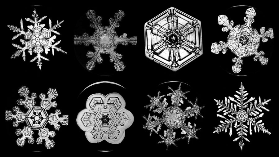 La neve e la geometria: guardiamo i fiocchi di neve al microscopio! 