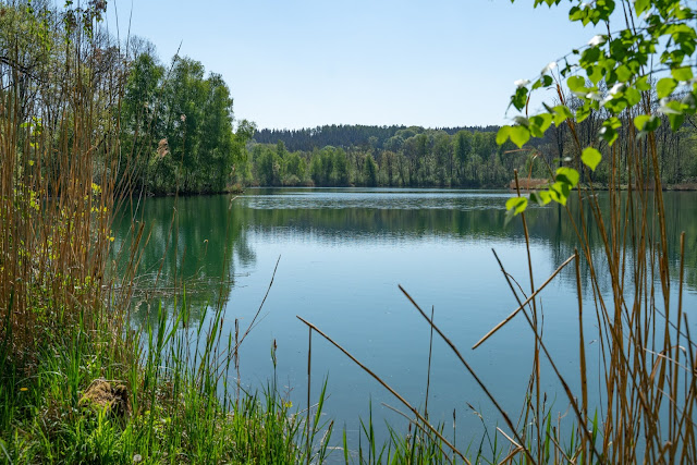 Premiumwanderweg DonAUwald | Etappe 1 von Günzburg nach Offingen 19