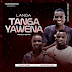 DOWNLOAD MP3 : Team Feme ft Madzwaleni - Langa Tanga Yawena (Marrabenta)[ 2020 ]