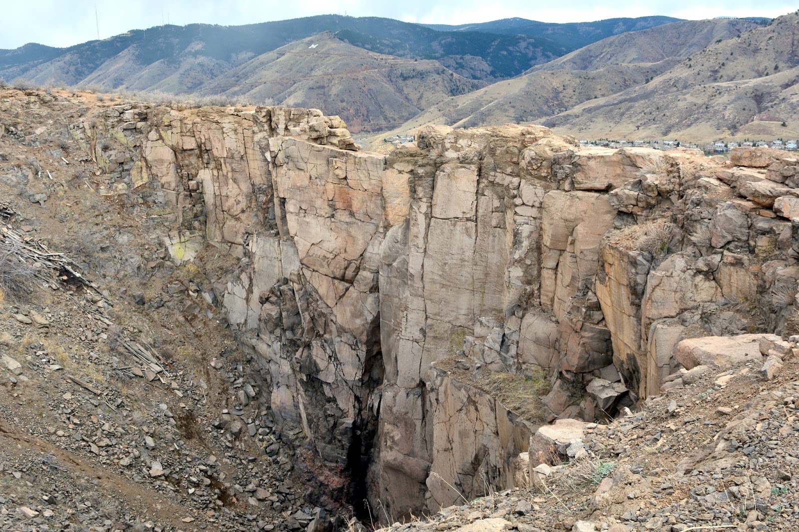 Mille Fiori Favoriti North Table Mountain Trail and Park, Golden, Colorado