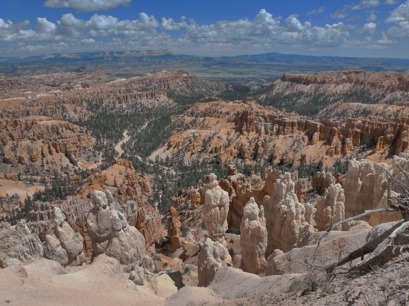 13: Bryce Canyon - Driving me ... USA (26)