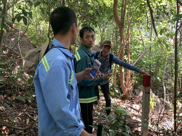 Kiên Giang: Quản lý kém, Phú Quốc mất hơn 3.000 ha rừng trong 6 năm