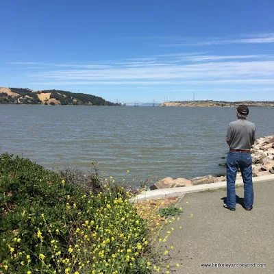 view of Carquinez Strait from Benicia, California