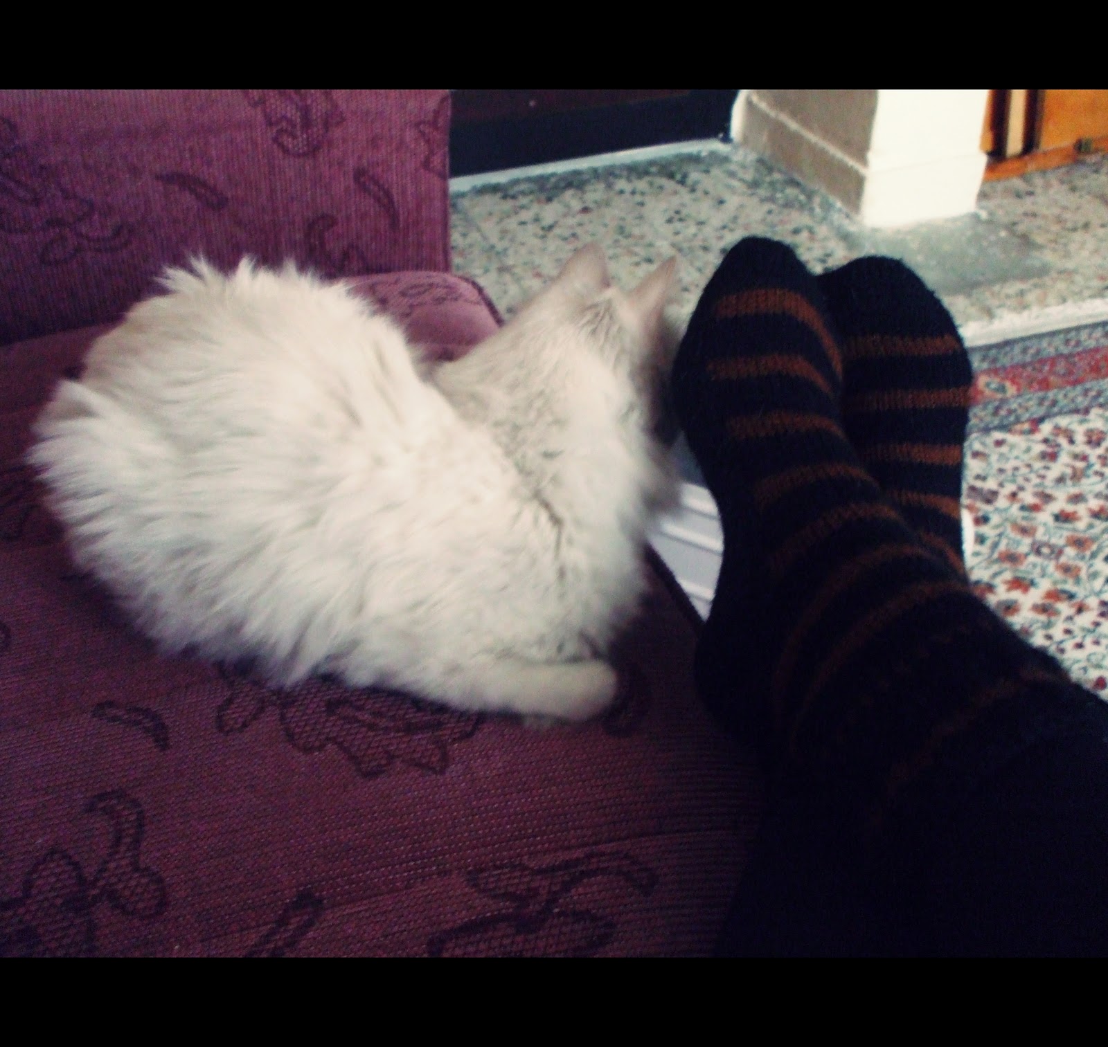 Madam Dö Gonç Bi yaşıma daha girdim