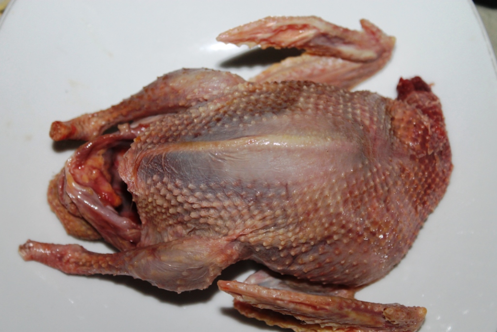 Тушка разделанного перепела. Тушка голубя. Тушка голубя. Тушка голубя. Тушка перепелов.