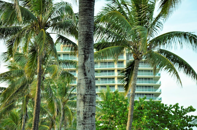 _DSC0389%2B%25282%2529.JPG