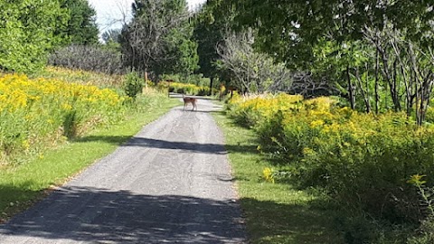 Voyages A Loisir Blogue De Voyages Ou D Escapades Sur Mesure