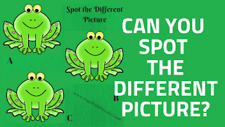 In these Brain-teasing Pictures Puzzles, your challenge is to find the odd man out