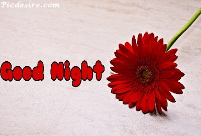 Top 101 Good Night Images || Best Good Night Images Top 101 Good Night Images || Best Good Night Images