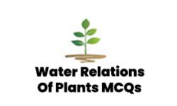 Water Relations Of Plants MCQs With Answers