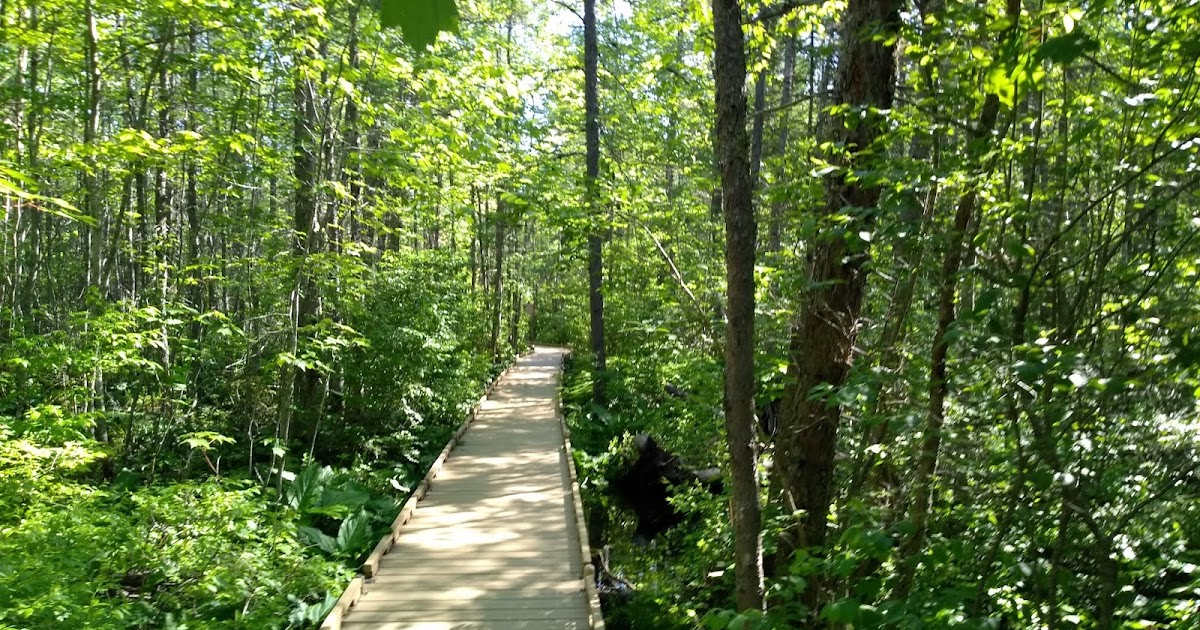 to Orono Bog Boardwalk and Bangor City Forest