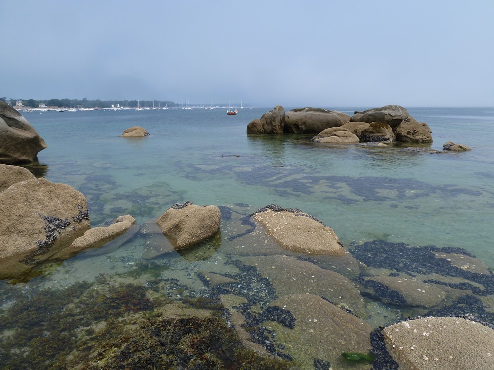 BRETAGNE - Finistère 29: FOUESNANT - Pointe de Beg Meil