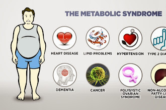 Hidratos de Carbono / Estado Metabólico / Nível de Actividade 