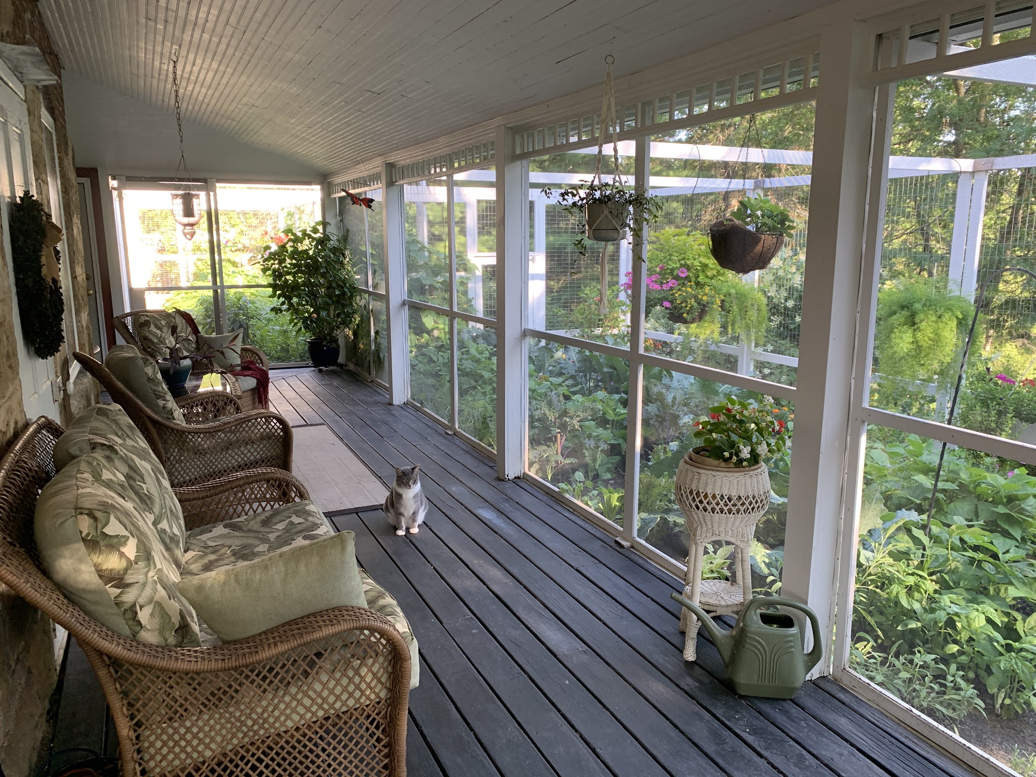 Amy's Creative Pursuits My New ScreenedIn Porch and a Video Walk