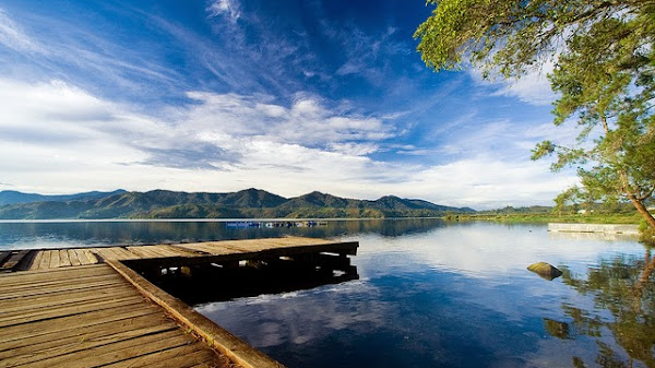 Danau Sunter: Wisata Alam Tersembunyi di Tengah Kota Jakarta
