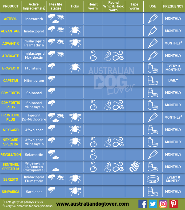Protecting Dogs from Fleas and Ticks Australian Dog Lover