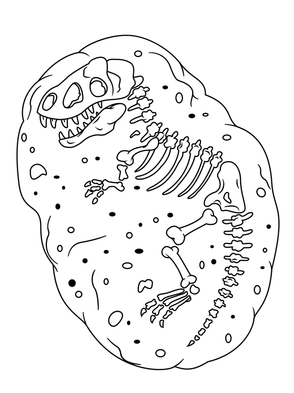 RECURSOS y ACTIVIDADES para Educación Infantil: Dibujos de Fósiles de  Dinosaurios para Imprimir