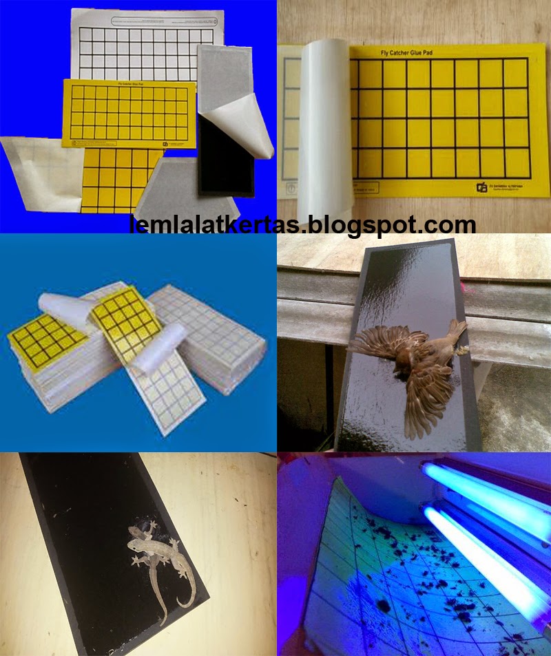 pest alat pest lem lalat pest indonesia jual perangkap serangga pest alat pest lem lalat pest indonesia jual perangkap serangga